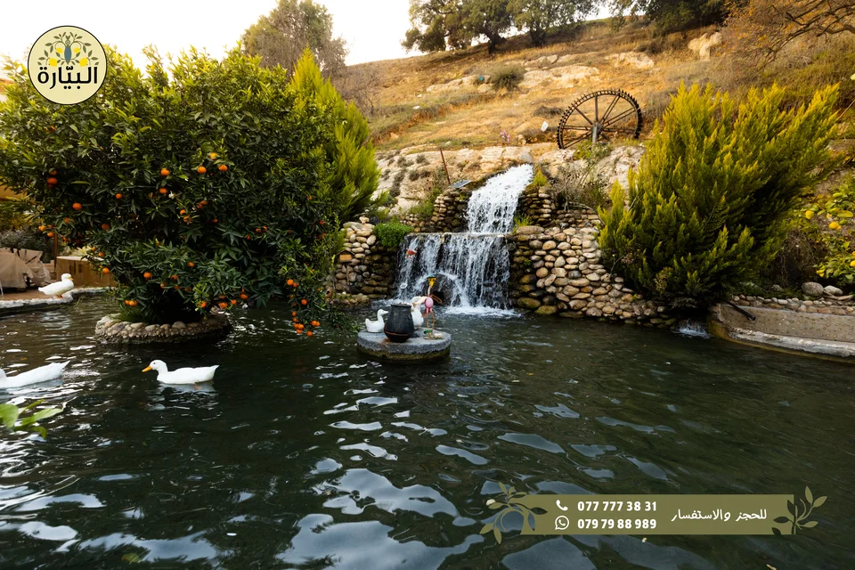 Bayarah photography — Waterfall and pond — 002