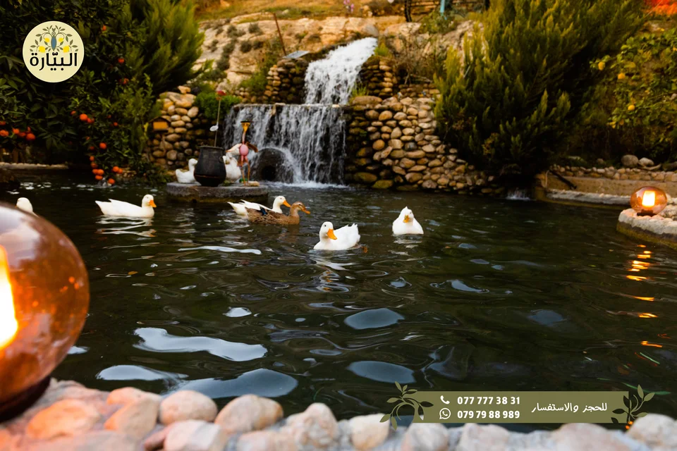 Bayarah photography — Garden dining — 020