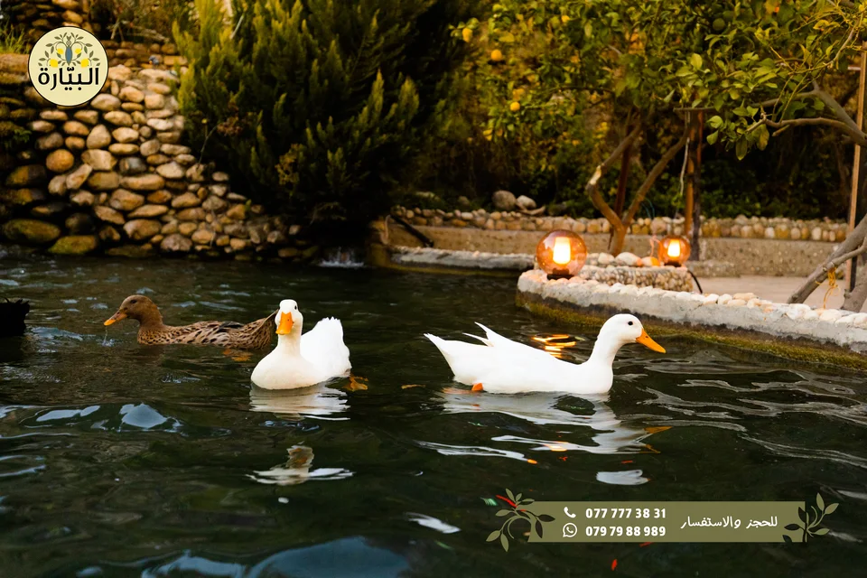 Bayarah photography — Garden dining — 021