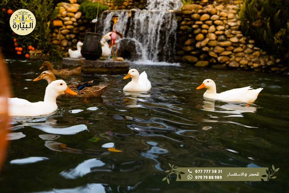 Bayarah photography — Garden dining — 022