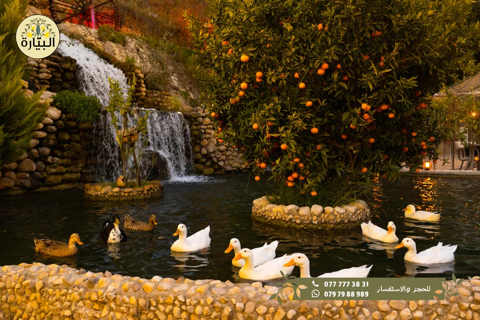 Bayarah photography — Landscape and paths — 033