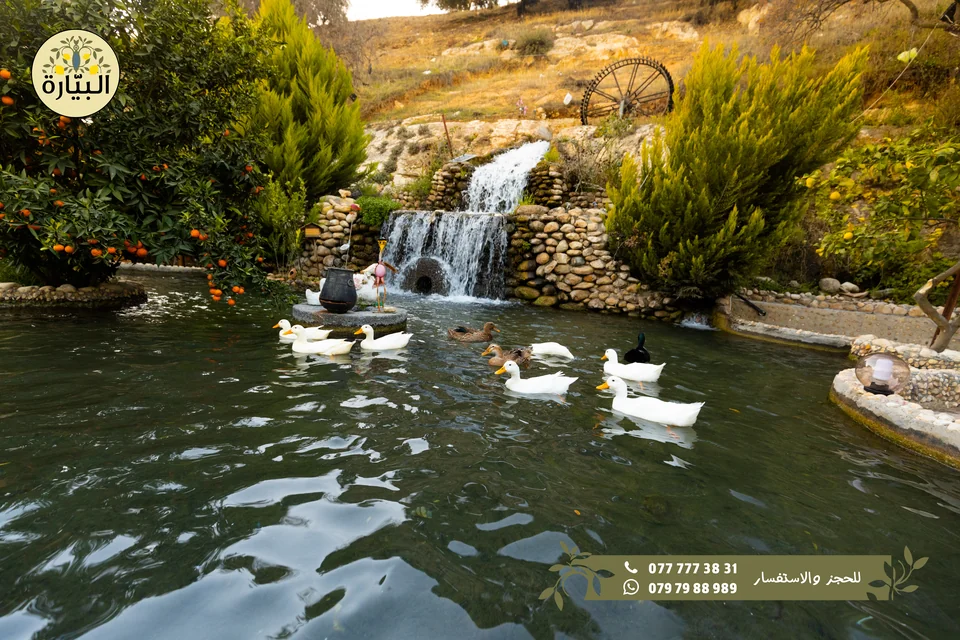 Bayarah photography — Waterfall and pond — 005