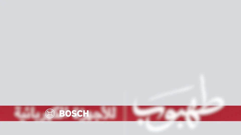 Bosch — Roya Broadcast Overlay, Opening A. Film still at 0.95s. Original transparent overlay on a neutral background.